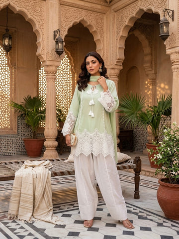 Schiffli Lace Farsi Salwar Set